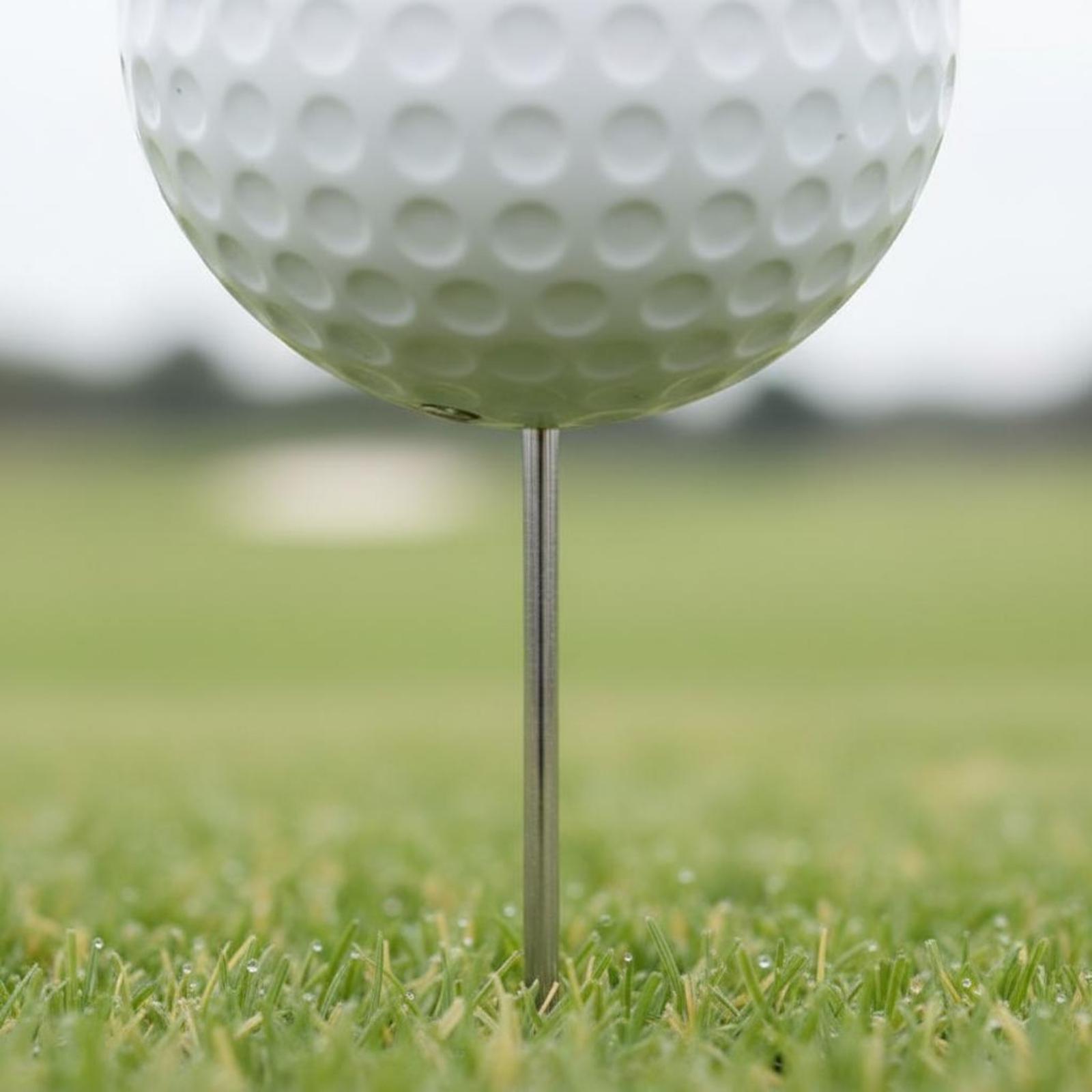 Course Teeing Starter Golf Bal - Golf Tees 评论和价格